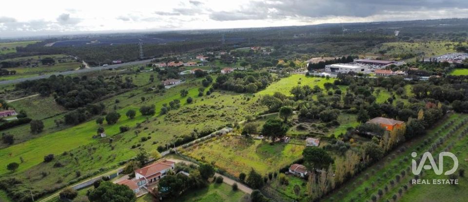 Terreno em Almoster de 20 000 m²