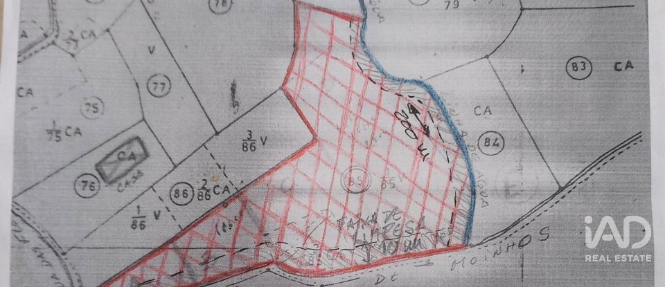 Terreno em Almoster de 20 000 m²