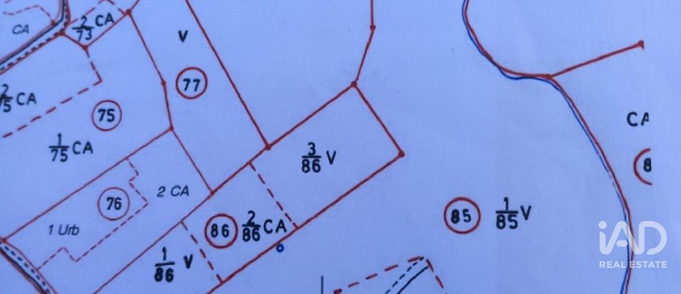 Terreno em Almoster de 20 000 m²