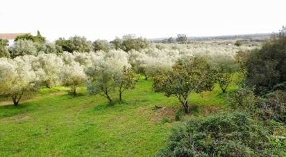 Terrain à Santarém (Marvila), Santa Iria Da Ribeira De Santarém, Santarém (São Salvador) E Santarém (São Nicolau) de 26 720 m²