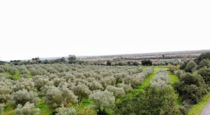 Terrain à Santarém (Marvila), Santa Iria Da Ribeira De Santarém, Santarém (São Salvador) E Santarém (São Nicolau) de 26 720 m²