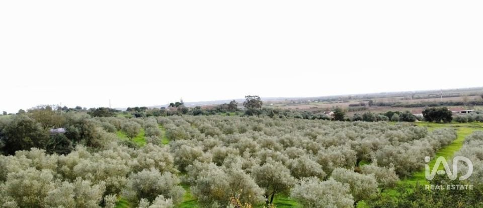 Terreno em Santarém (Marvila), Santa Iria Da Ribeira De Santarém, Santarém (São Salvador) E Santarém (São Nicolau) de 26 720 m²