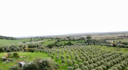 Terrain à Santarém (Marvila), Santa Iria Da Ribeira De Santarém, Santarém (São Salvador) E Santarém (São Nicolau) de 26 720 m²