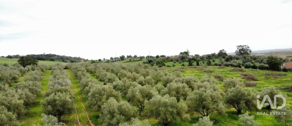 Terreno em Santarém (Marvila), Santa Iria Da Ribeira De Santarém, Santarém (São Salvador) E Santarém (São Nicolau) de 26 720 m²