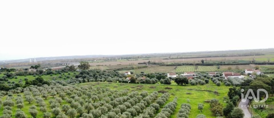 Terreno em Santarém (Marvila), Santa Iria Da Ribeira De Santarém, Santarém (São Salvador) E Santarém (São Nicolau) de 26 720 m²