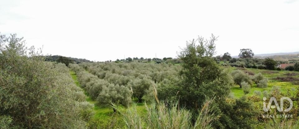 Terreno em Santarém (Marvila), Santa Iria Da Ribeira De Santarém, Santarém (São Salvador) E Santarém (São Nicolau) de 26 720 m²