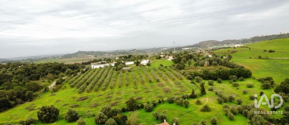 Terreno em Santarém (Marvila), Santa Iria Da Ribeira De Santarém, Santarém (São Salvador) E Santarém (São Nicolau) de 26 720 m²