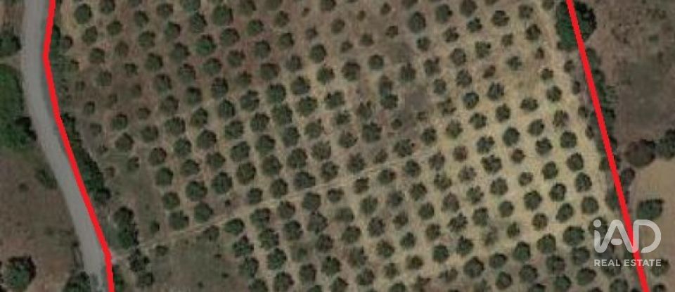 Terreno em Santarém (Marvila), Santa Iria Da Ribeira De Santarém, Santarém (São Salvador) E Santarém (São Nicolau) de 26 720 m²