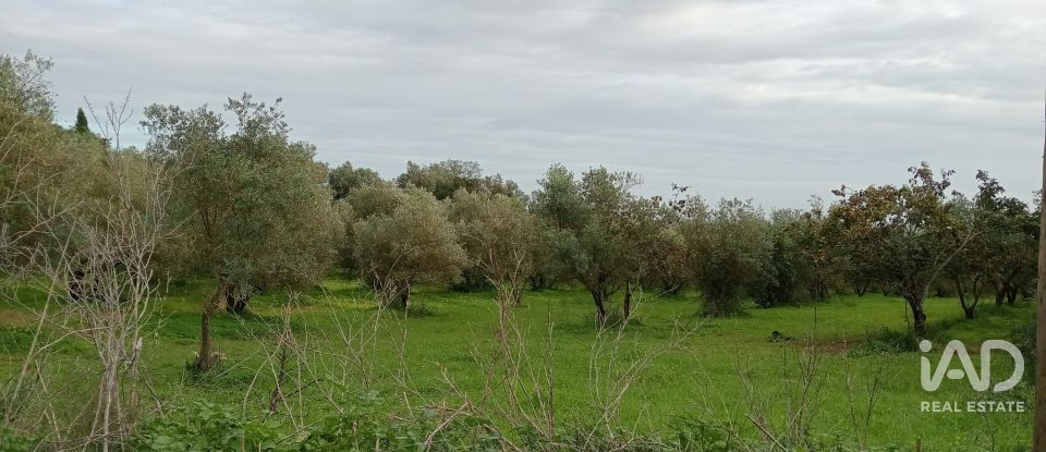 Terreno em Santarém (Marvila), Santa Iria Da Ribeira De Santarém, Santarém (São Salvador) E Santarém (São Nicolau) de 26 720 m²