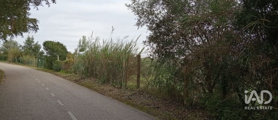 Terreno em Santarém (Marvila), Santa Iria Da Ribeira De Santarém, Santarém (São Salvador) E Santarém (São Nicolau) de 26 720 m²