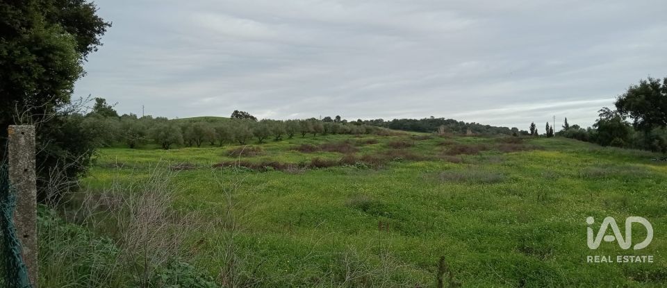 Terreno em Santarém (Marvila), Santa Iria Da Ribeira De Santarém, Santarém (São Salvador) E Santarém (São Nicolau) de 26 720 m²