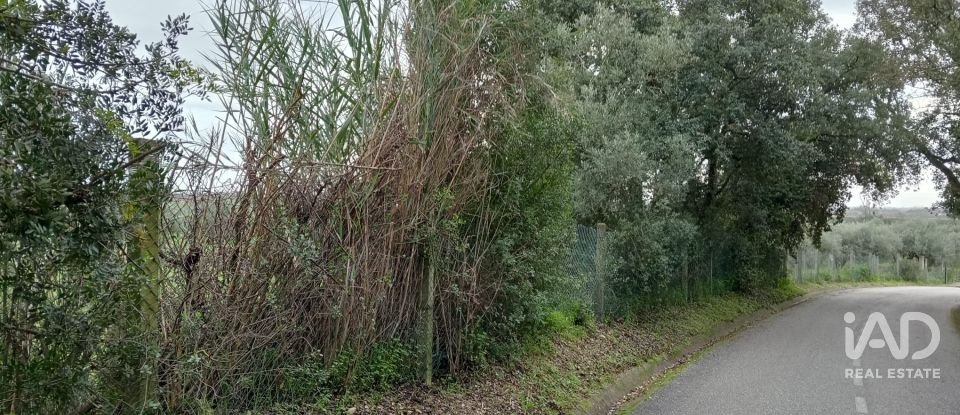 Terreno em Santarém (Marvila), Santa Iria Da Ribeira De Santarém, Santarém (São Salvador) E Santarém (São Nicolau) de 26 720 m²