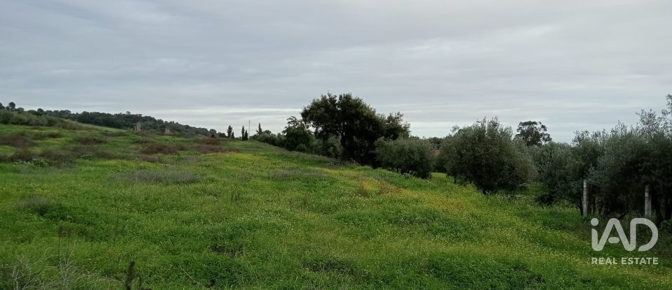 Terreno em Santarém (Marvila), Santa Iria Da Ribeira De Santarém, Santarém (São Salvador) E Santarém (São Nicolau) de 26 720 m²