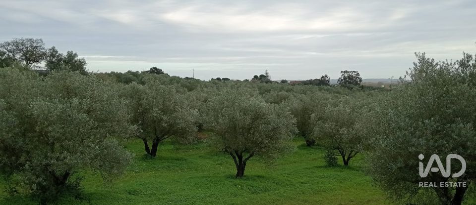 Terreno em Santarém (Marvila), Santa Iria Da Ribeira De Santarém, Santarém (São Salvador) E Santarém (São Nicolau) de 26 720 m²
