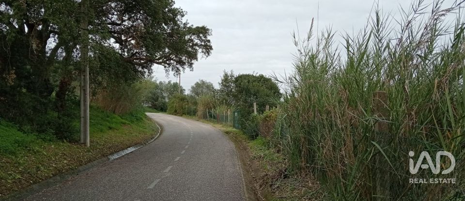 Terreno em Santarém (Marvila), Santa Iria Da Ribeira De Santarém, Santarém (São Salvador) E Santarém (São Nicolau) de 26 720 m²