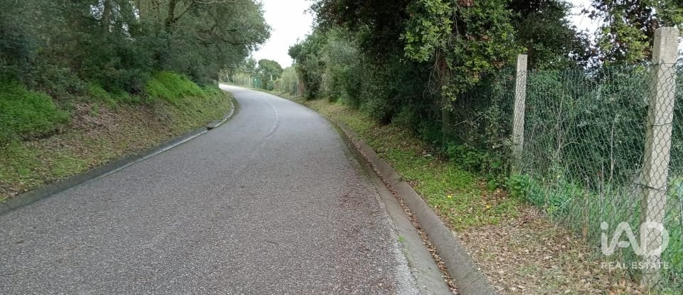 Terreno em Santarém (Marvila), Santa Iria Da Ribeira De Santarém, Santarém (São Salvador) E Santarém (São Nicolau) de 26 720 m²