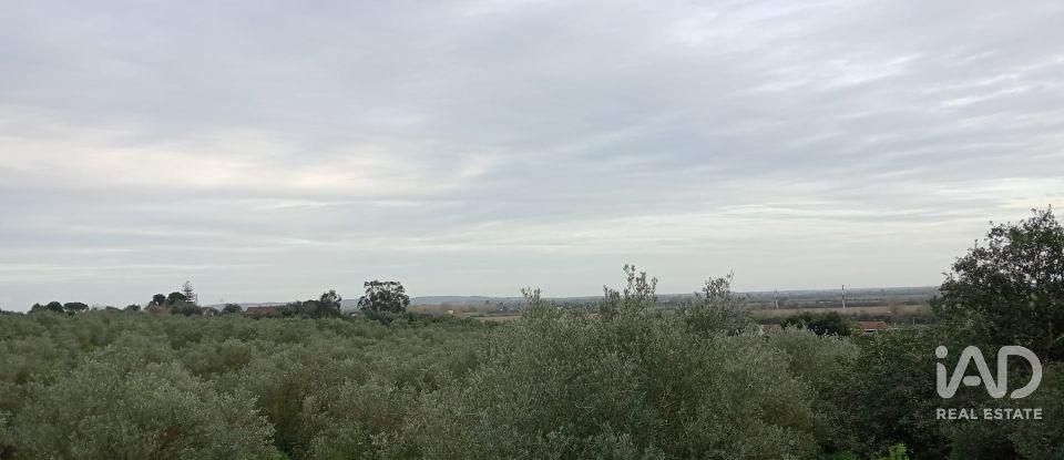 Terreno em Santarém (Marvila), Santa Iria Da Ribeira De Santarém, Santarém (São Salvador) E Santarém (São Nicolau) de 26 720 m²