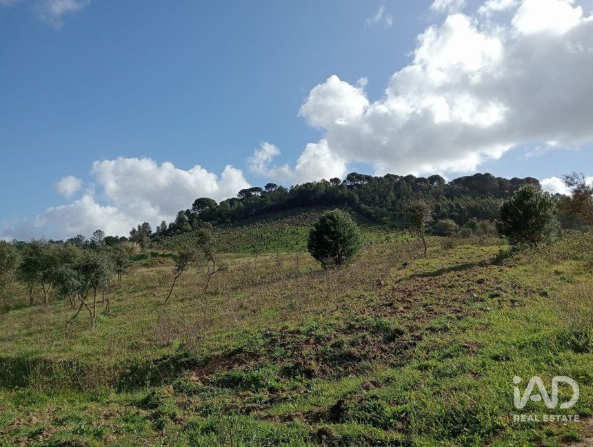 Land in São João da Ribeira e Ribeira de São João of 18,440 m²