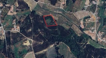 Land in São João da Ribeira e Ribeira de São João of 18,440 m²