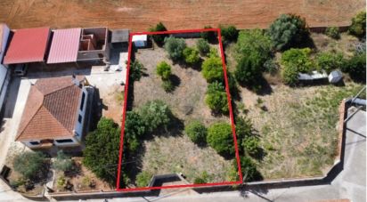 Terrain à Rio Maior de 551 m²