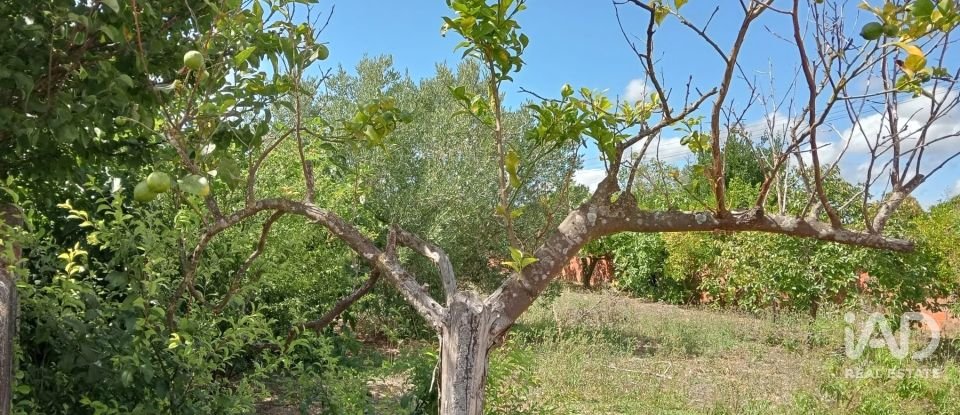 Land in Rio Maior of 551 m²