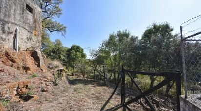 Quinta agricole T5 à São Miguel, Santa Eufémia e Rabaçal de 272 m²