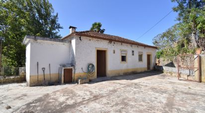 Quinta agricole T5 à São Miguel, Santa Eufémia e Rabaçal de 272 m²