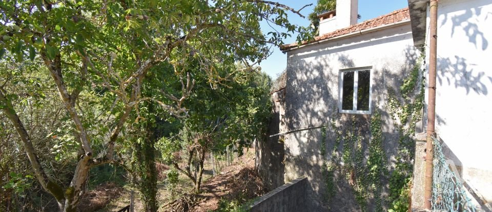 Quinta agrícola T5 em São Miguel, Santa Eufémia e Rabaçal de 272 m²