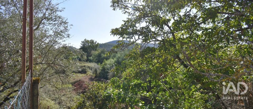 Quinta agrícola T5 em São Miguel, Santa Eufémia e Rabaçal de 272 m²