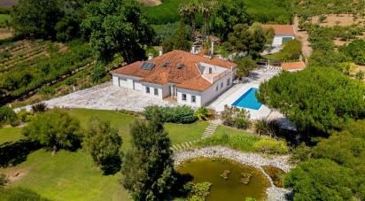 Farm T4 in Moita dos Ferreiros of 633 m²