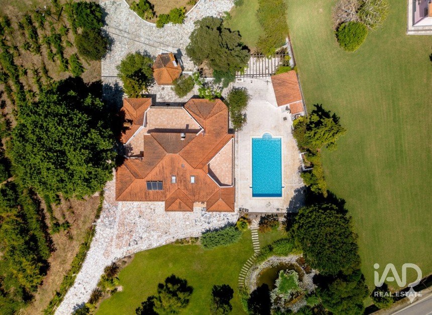 Quinta T4 em Moita dos Ferreiros de 633 m²