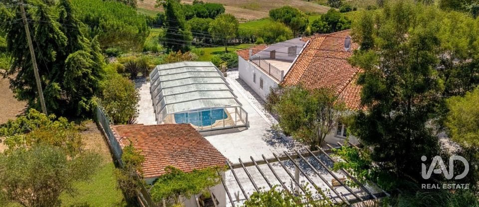 Quinta T4 em Moita dos Ferreiros de 633 m²