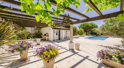 Farm T4 in Moita dos Ferreiros of 633 m²