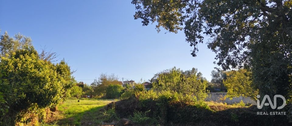 Maison T4 à Cernache de 150 m²