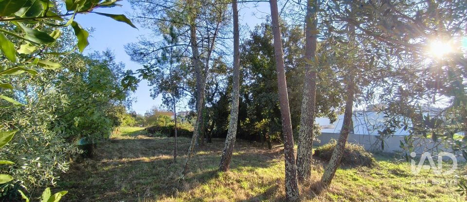 Maison T4 à Cernache de 150 m²