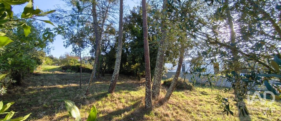 Maison T4 à Cernache de 150 m²