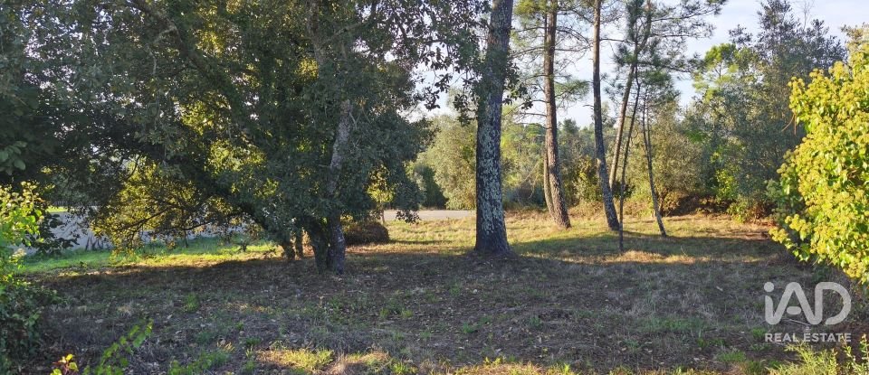 Maison T4 à Cernache de 150 m²