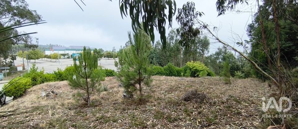 Terreno urbano em Arrifana de 700 m²