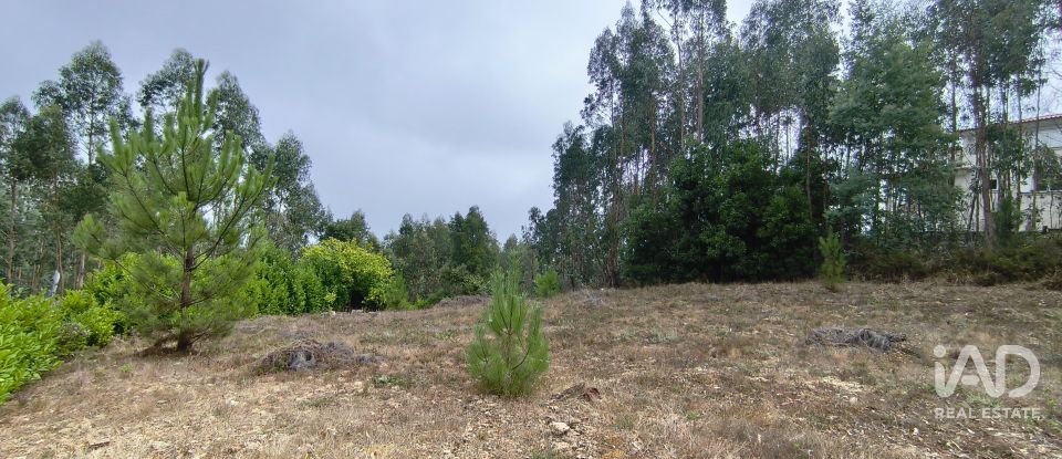 Terreno urbano em Arrifana de 700 m²