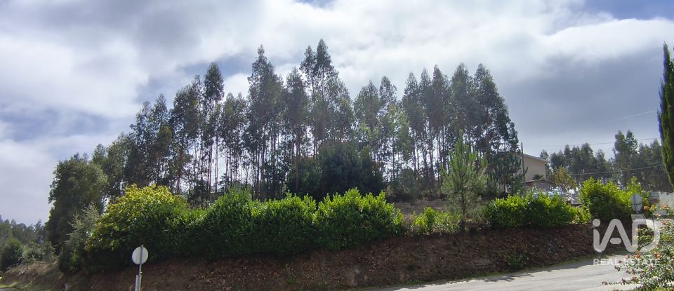 Terreno urbano em Arrifana de 700 m²