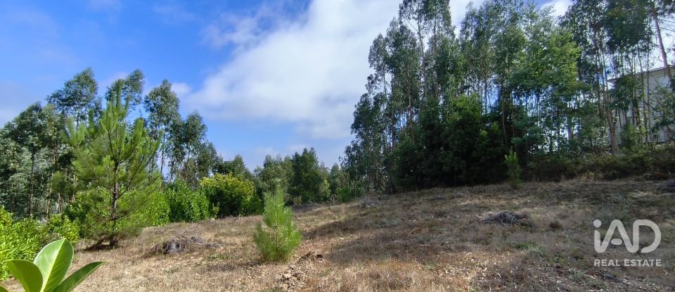 Terreno urbano em Arrifana de 700 m²