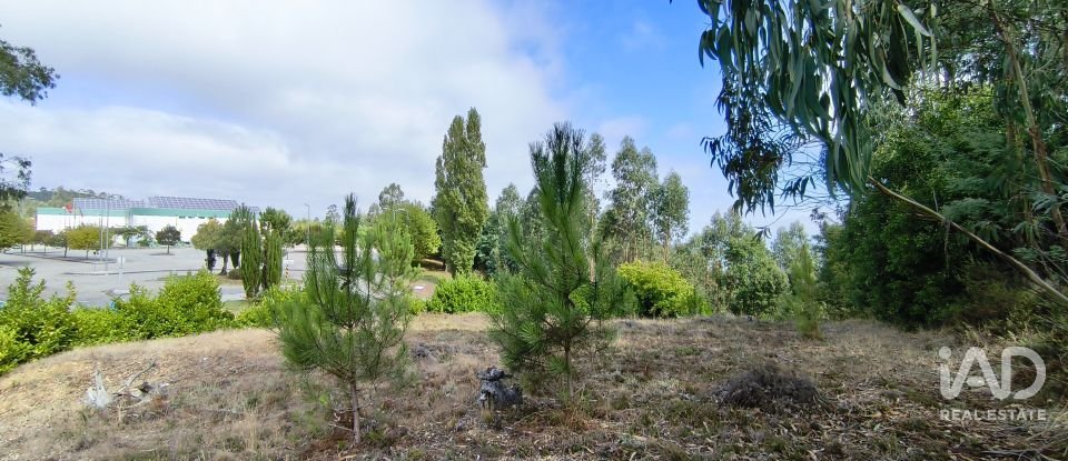 Terreno urbano em Arrifana de 700 m²