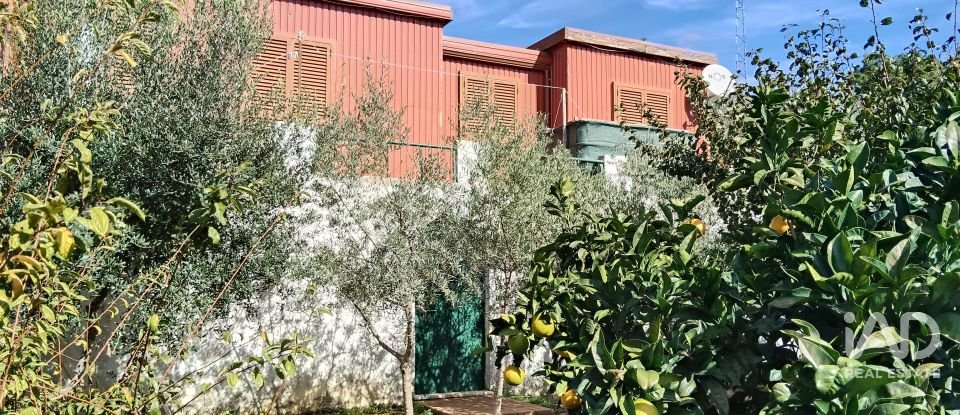 Terreno rústico em Pedrógão Pequeno de 3 920 m²