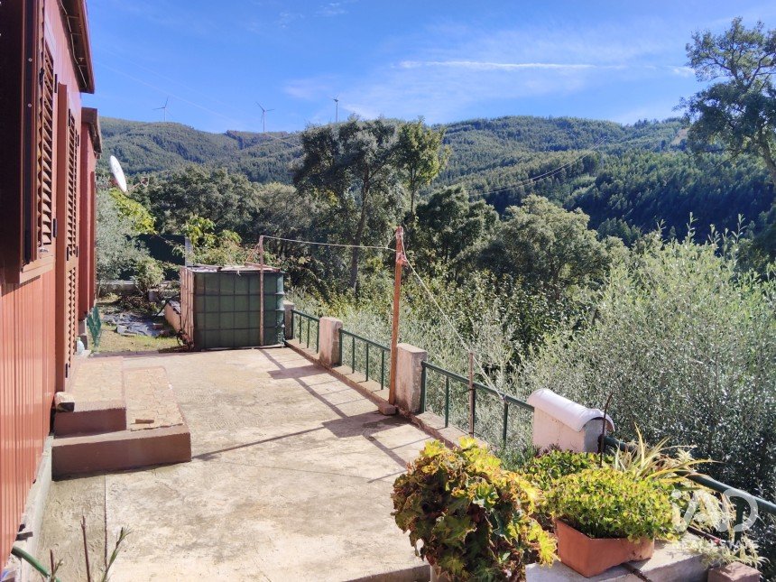 Terreno rústico em Pedrógão Pequeno de 3 920 m²