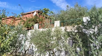 Terrain agricole à Pedrógão Pequeno de 3 920 m²