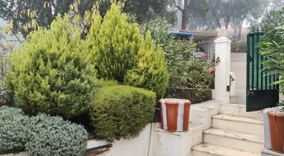 Terrain agricole à Pedrógão Pequeno de 3 920 m²