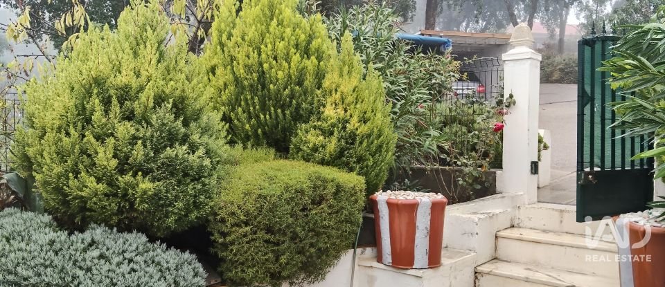 Terreno rústico em Pedrógão Pequeno de 3 920 m²