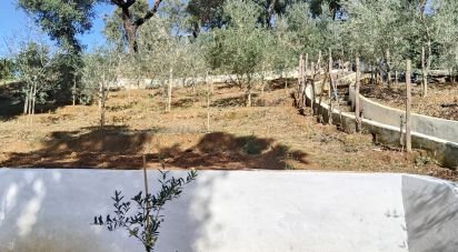 Terrain agricole à Pedrógão Pequeno de 3 920 m²