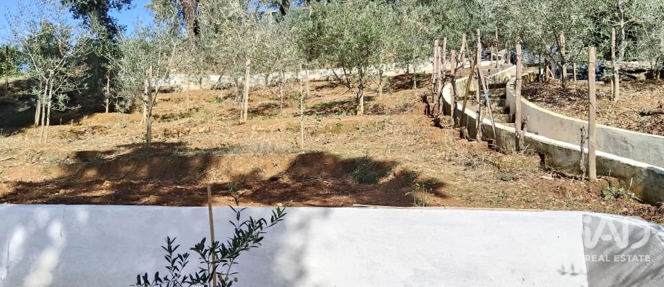 Terreno rústico em Pedrógão Pequeno de 3 920 m²