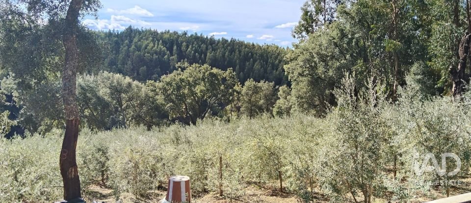 Terreno rústico em Pedrógão Pequeno de 3 920 m²